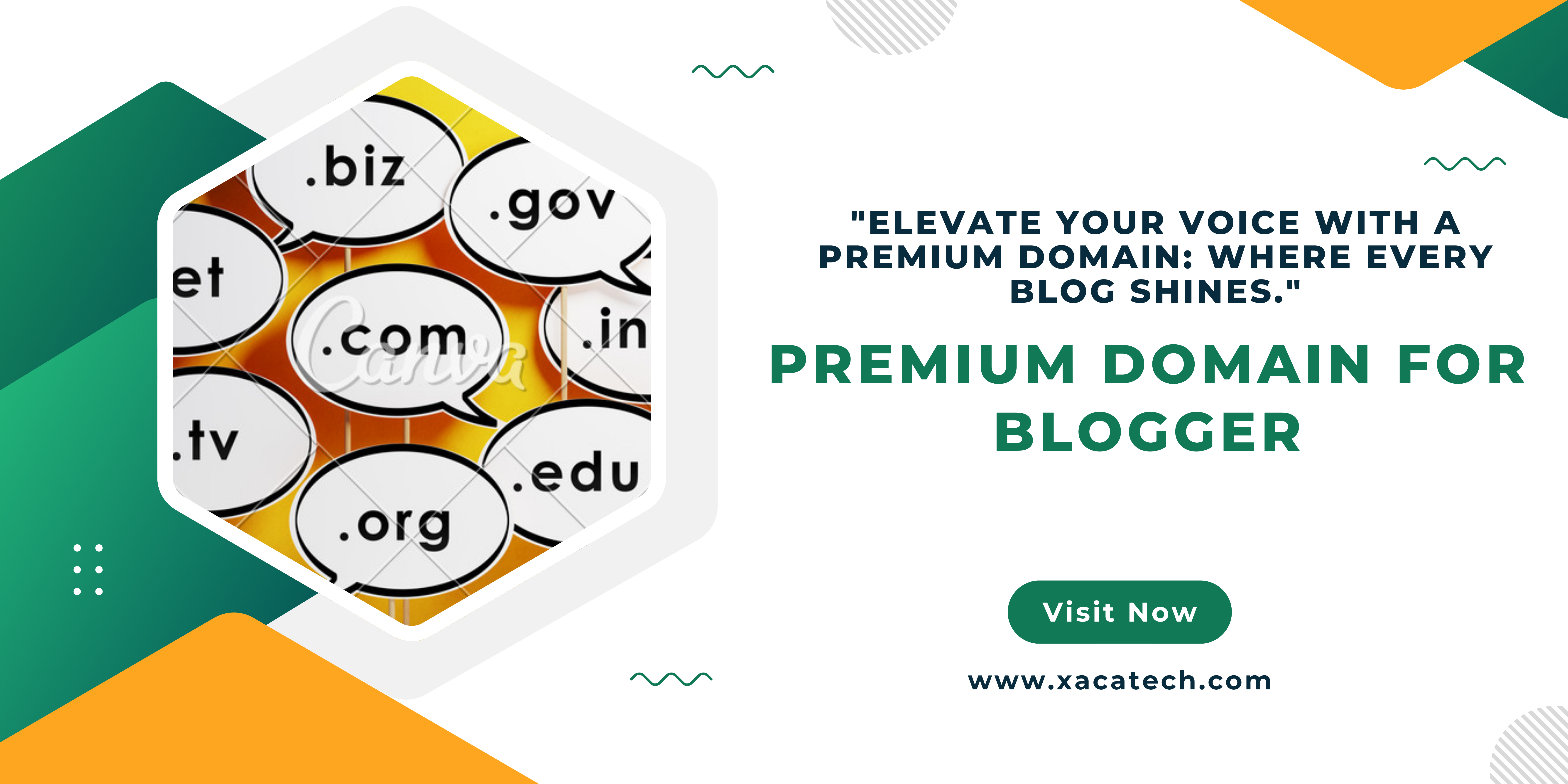 premium domain for blogger